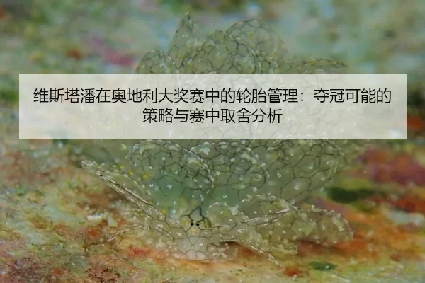 维斯塔潘在奥地利大奖赛中的轮胎管理：夺冠可能的策略与赛中取舍分析
